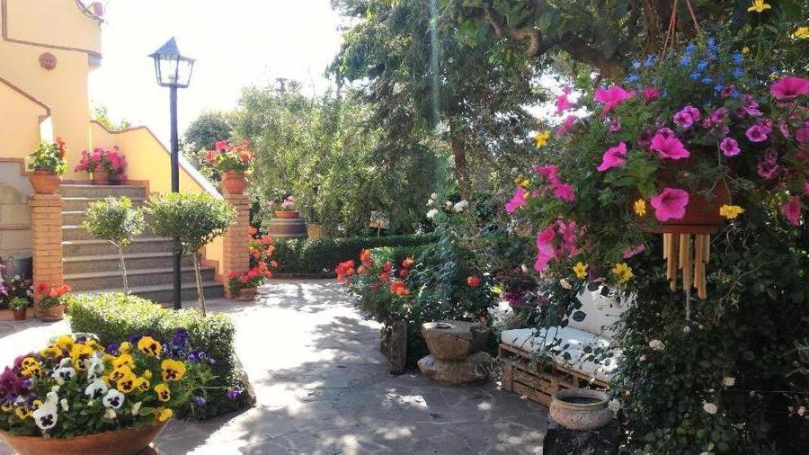 Bed And Breakfast Val Di Lupa Castellina Marittima Dış mekan fotoğraf