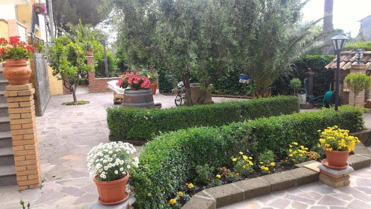 Bed And Breakfast Val Di Lupa Castellina Marittima Dış mekan fotoğraf